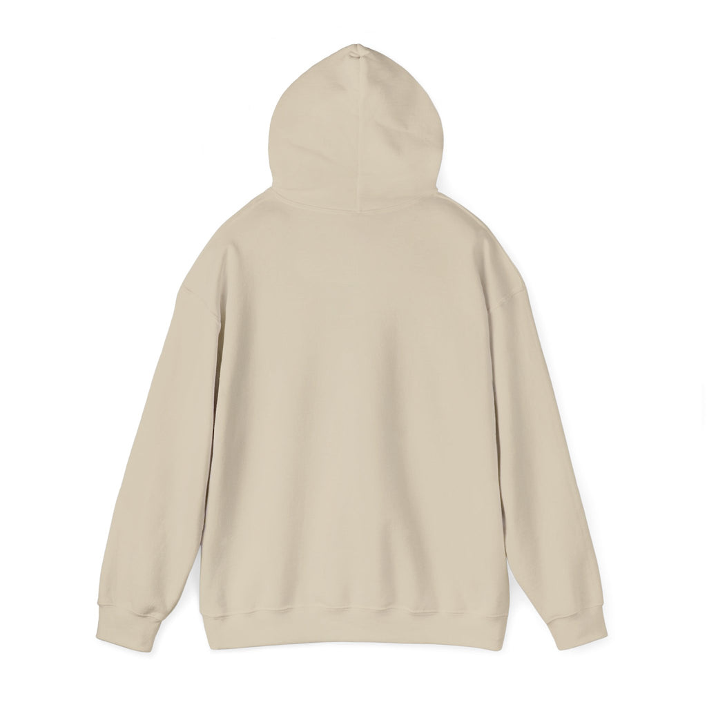 Cowgirl Horse Hoodie  Vintage Western Graphic Sweatshirt