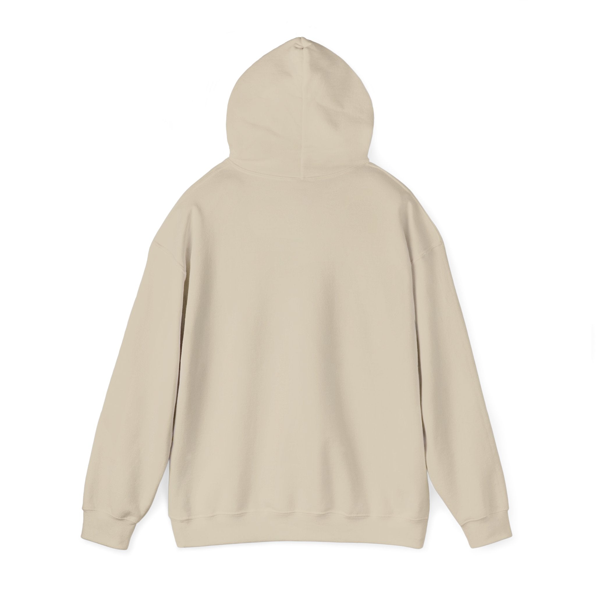 Cowgirl Horse Hoodie  Vintage Western Graphic Sweatshirt