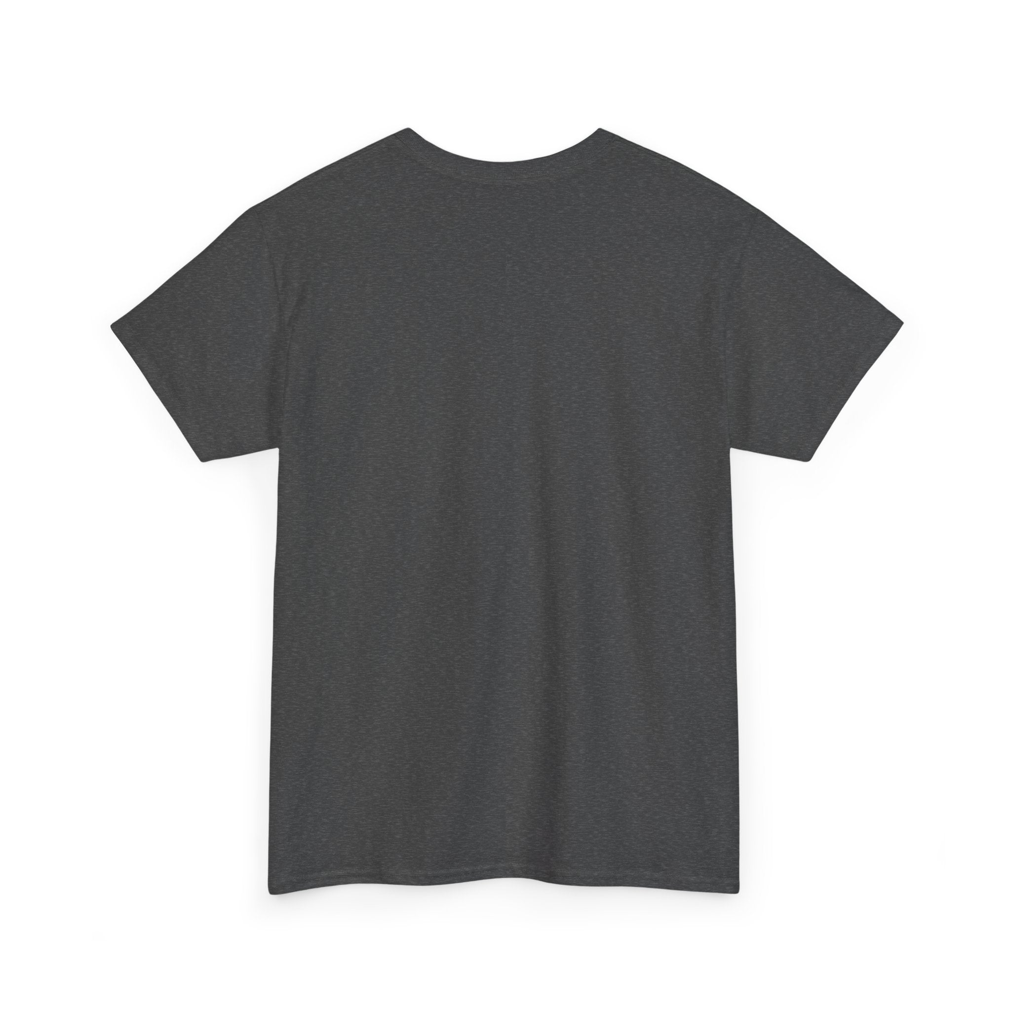 Rodeo Wild West T-Shirt  Western Skull & Horseshoe Tee